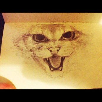 glasgow_sketch_cat_lukasl