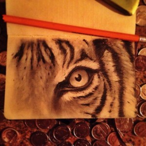 tiger_stripes_lukasl